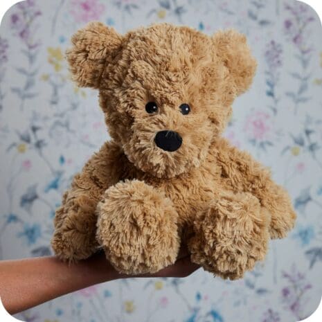 Bear 5 Bear 5