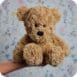 Bear 5