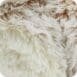 Beige Bear 3