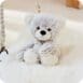 Beige Bear 4