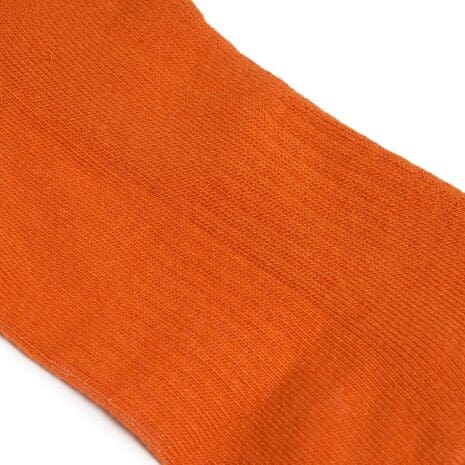 Burnt Orange Closeup Burnt Orange Closeup