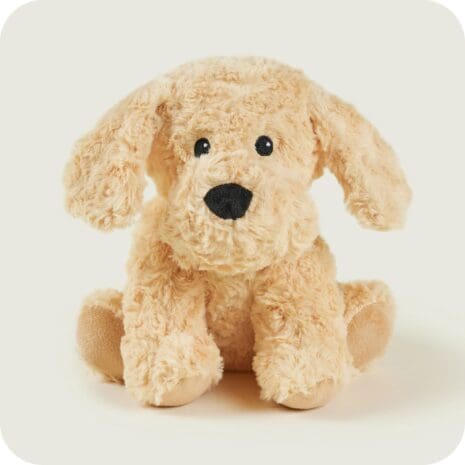 Cockerpoo Cockerpoo