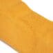 Corn Closeup