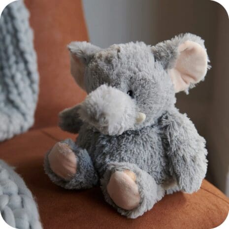 Elephant 6 Elephant 6