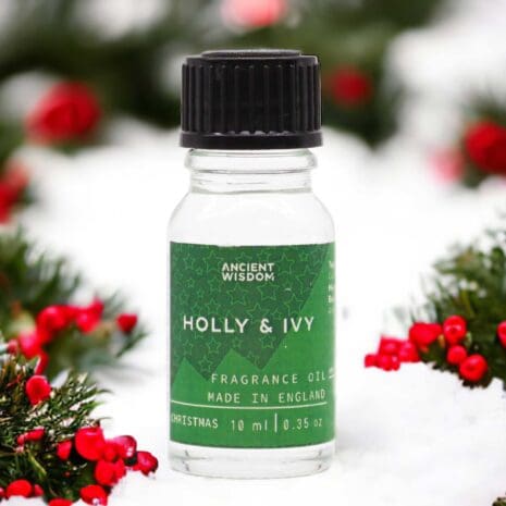 Holly Ivy Holly Ivy