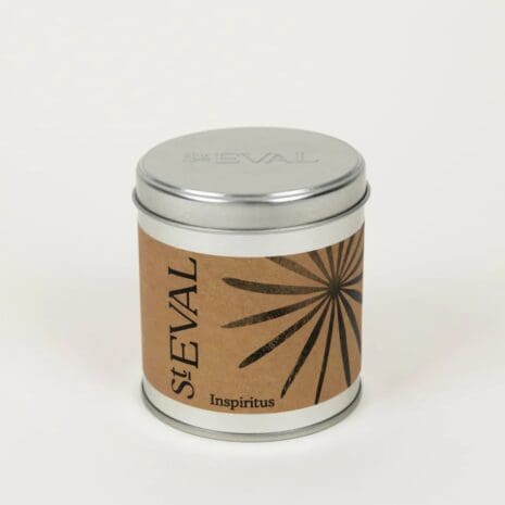 Inspiritus Tin top Inspiritus Tin top