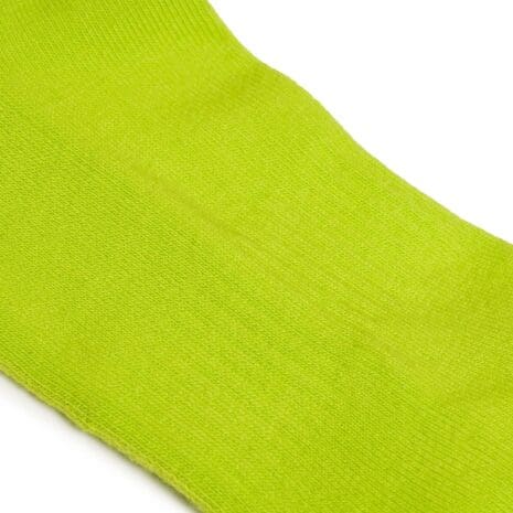Lime Closeup Lime Closeup