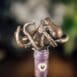 Bronze stopper octo 2