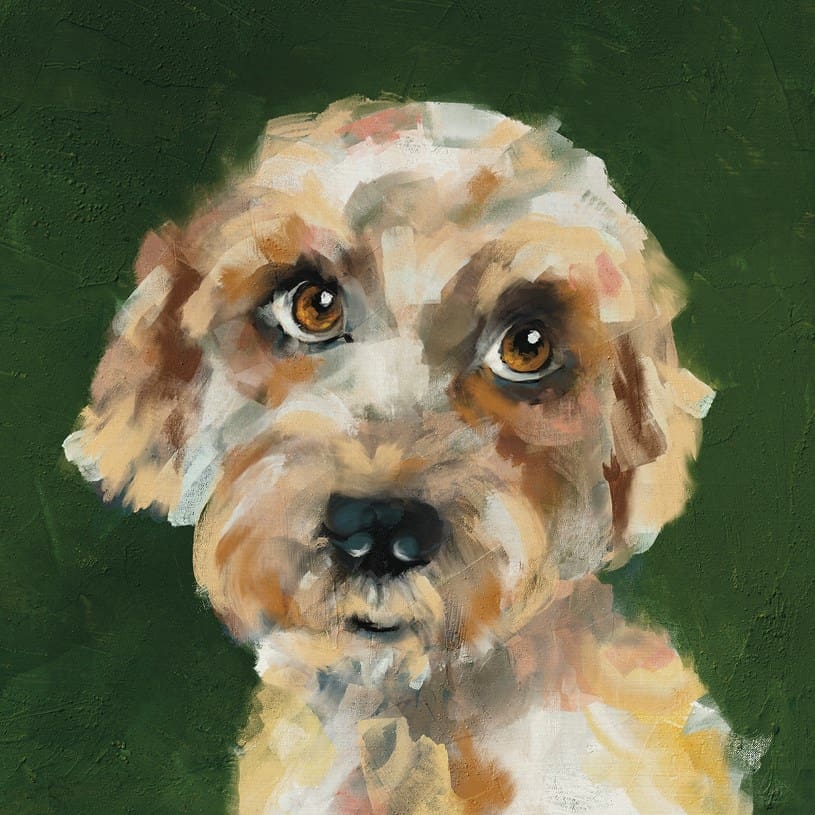 Coco Hound Card