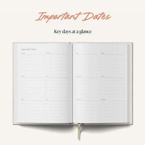 Daily Planner 3 Daily Planner 3