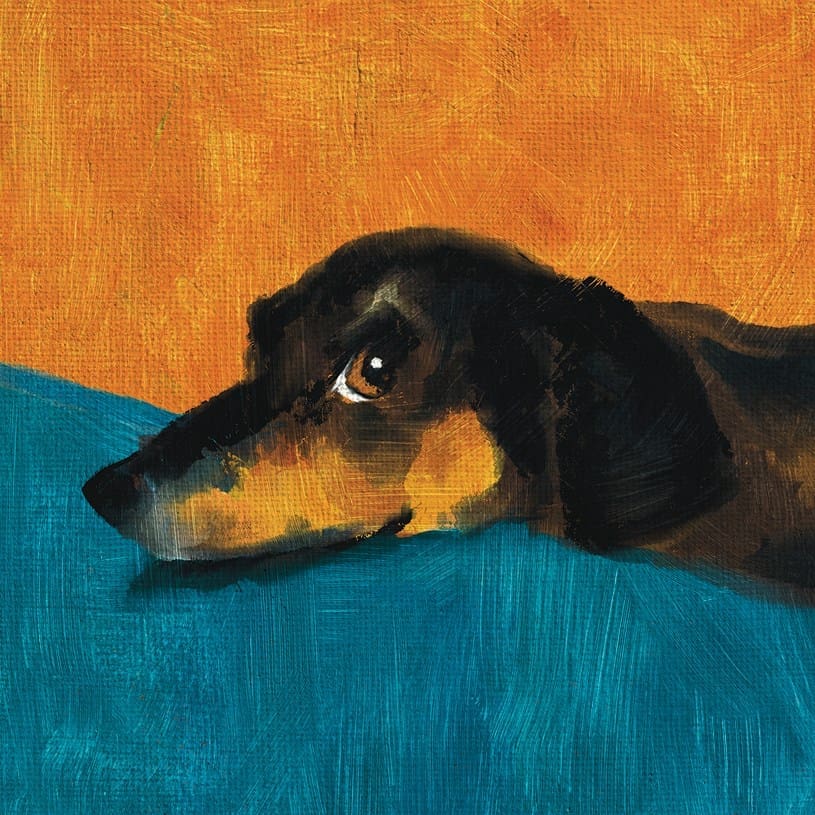 Fred Hound Card