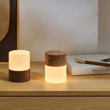 Gingko-Large-Lemelia-Light09-1024x621 Gingko-Large-Lemelia-Light09-1024x621