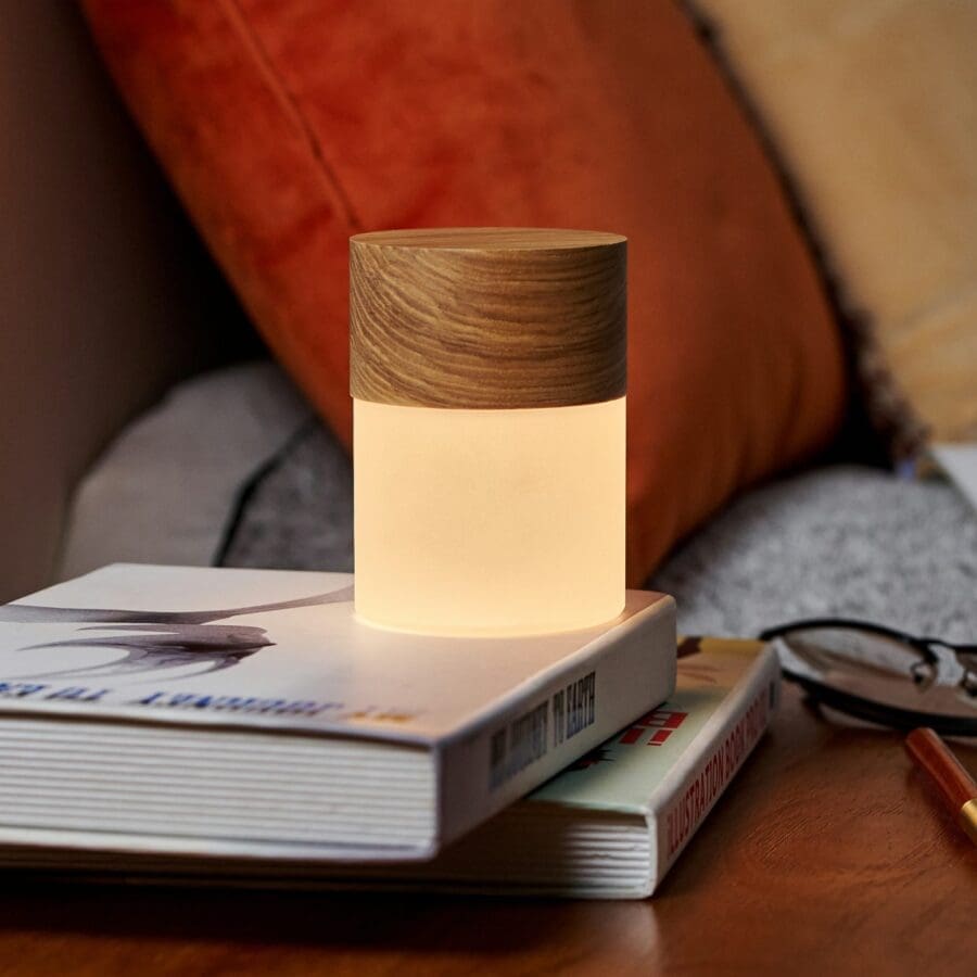 Lemelia Touch Light