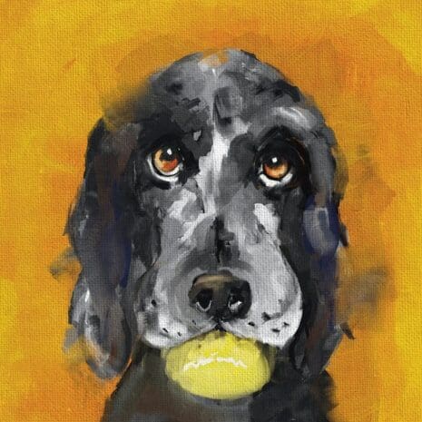 Harold Hound
