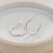 Hoops Small 1