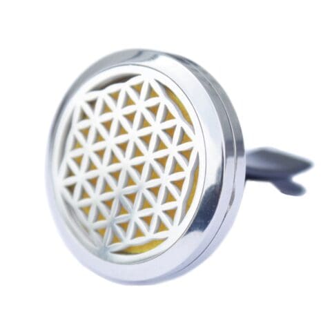 Lattice Car Diffuser Kit