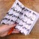 Oystercatcher Notebook 1