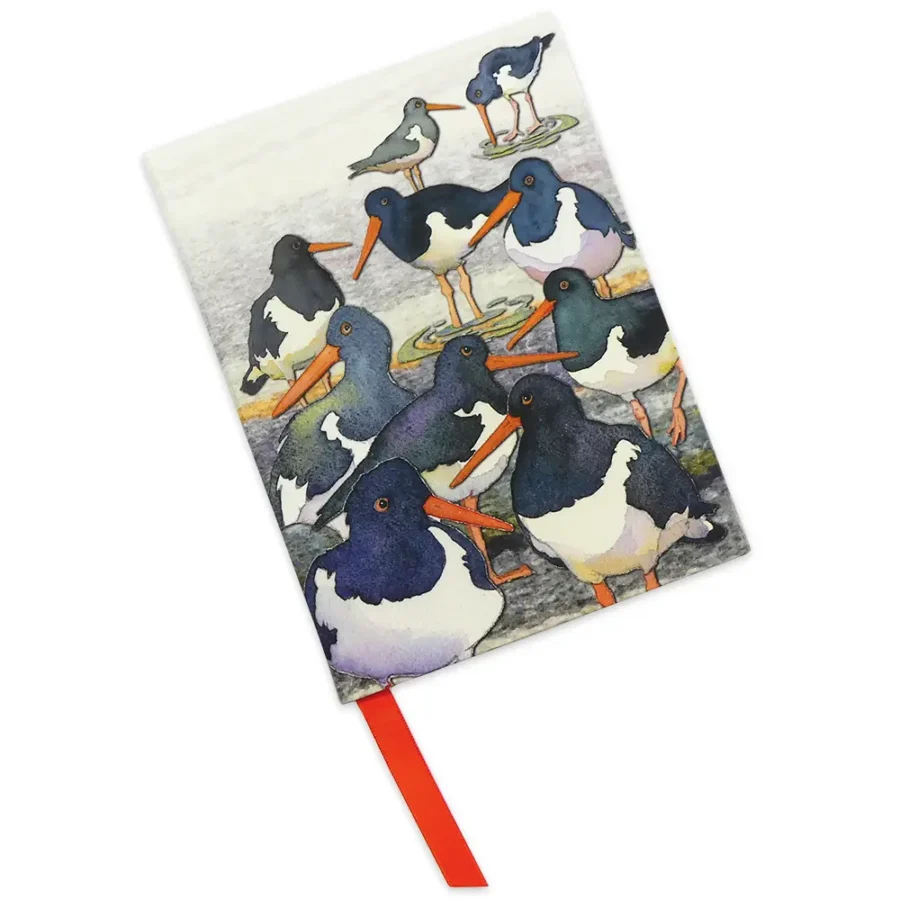 Oystercatcher Notebook