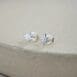 Starburst Studs 1