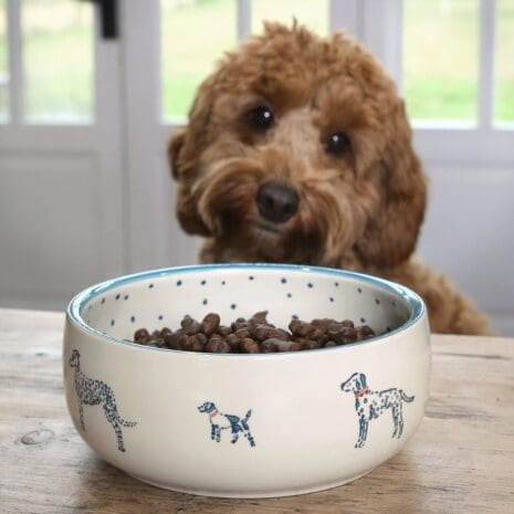 Stoneware Dog Bowl Stoneware Dog Bowl