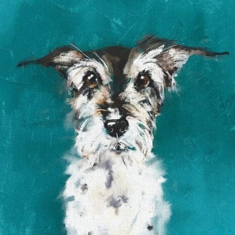Tomasina Hound