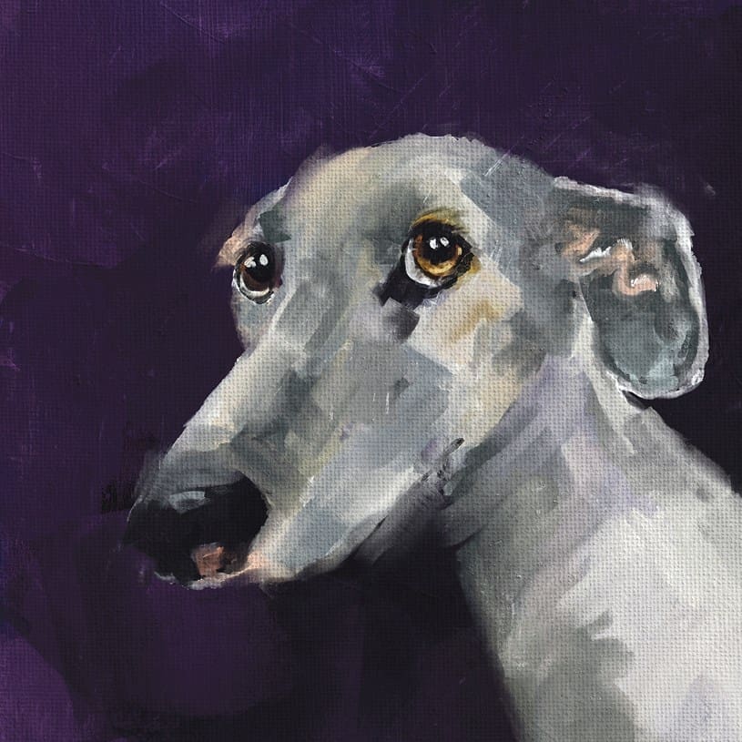 Walter Hound Card