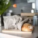 linen-bread-bag-hedgerow-collection-563510_736x736
