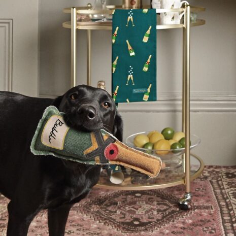 Bubbles Dog Toy Bubbles Dog Toy