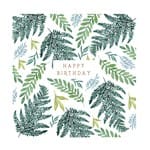 Ferns & Leaves