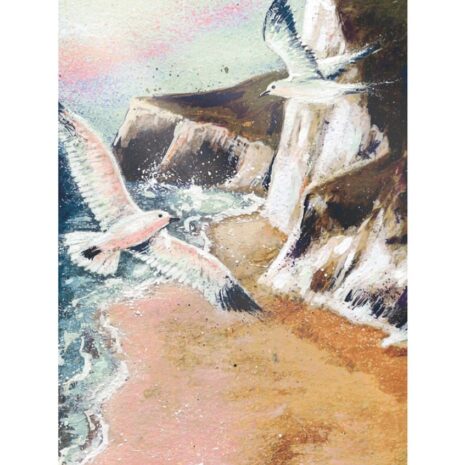 OS Gulls and Coast