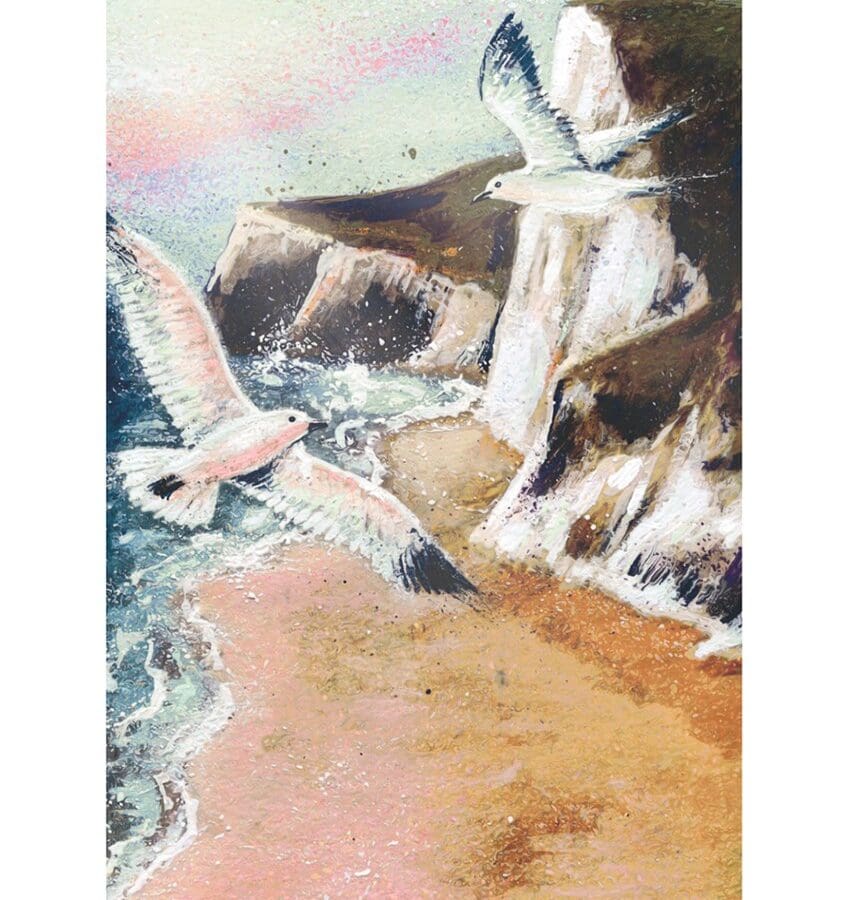 Seagull & Cliffs