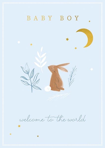 Bunny Baby Boy