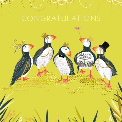 SAM Congrats Puffins