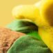 Bartholomew Bear Daffodil 1