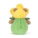 Bartholomew Bear Daffodil 3