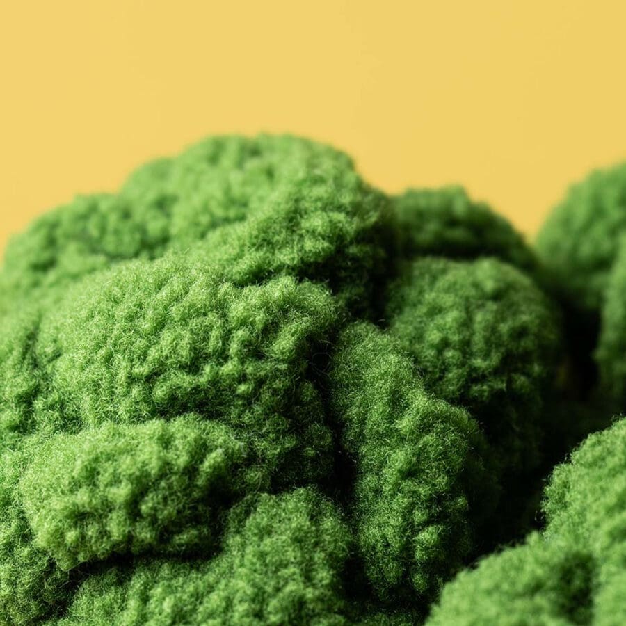 Broccoli 1