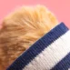 BARM2FM_1__47116