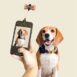 DIG01-Dog-Treat-Selfie-Clip_Action_800x800_22e960b9-96ee-479d-8074-c96a52e9cb21_480x480
