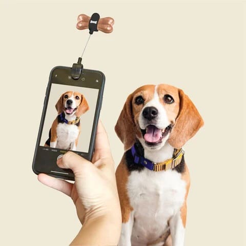 Dog Selfie Treat Clip