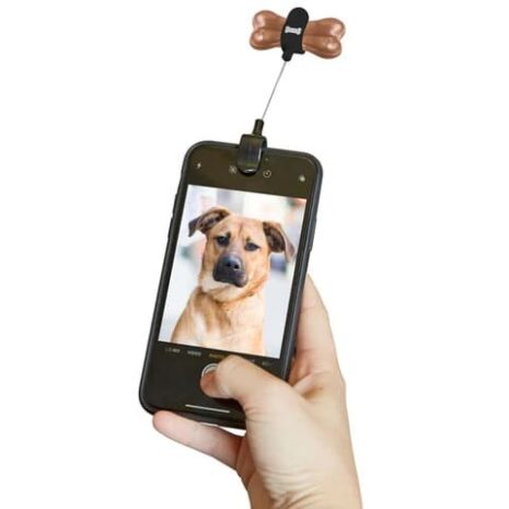 DIG01_DOG-TREAT-SELFIE-kobe-Phone_800x800_a41fc349-b8d4-4954-a965-8f2d6234c7c8_480x480 DIG01_DOG-TREAT-SELFIE-kobe-Phone_800x800_a41fc349-b8d4-4954-a965-8f2d6234c7c8_480x480